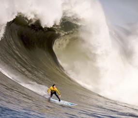 世界杯2026-霍勒迪里程碑之夜，雄鹿的沉默利刃，雷霆的成长阵痛